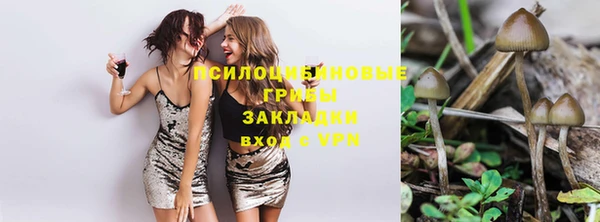 прущие грибы Алексин