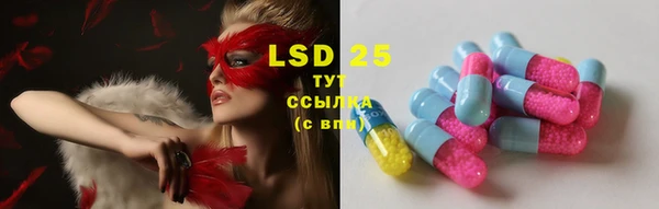 прущие грибы Алексин