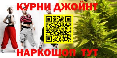 шишки Обь