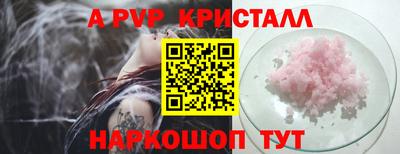 шишки Обь