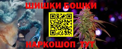 шишки Обь