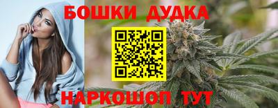 шишки Обь