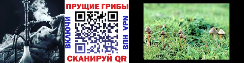 Галлюциногенные грибы Magic Shrooms  закладки  Углич 