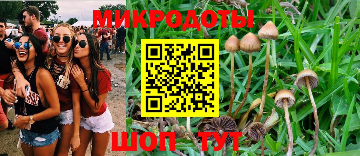 Углич  Галлюциногенные грибы Cubensis  Вход с VPN 